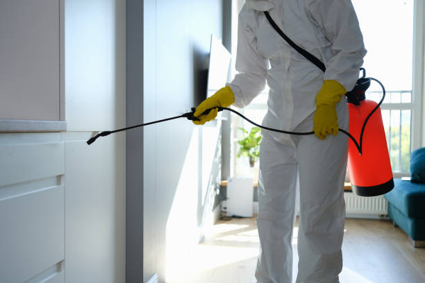Best Industrial Mold Remediation in Emerson, NJ